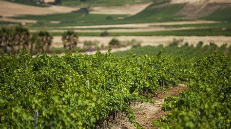 Cantine Pellegrino Vini Marsala E Pantelleria Sicily Italy