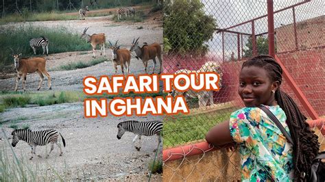 Safari Tour In Ghana Jirapa Upper West Region Jirapa Dubai Youtube