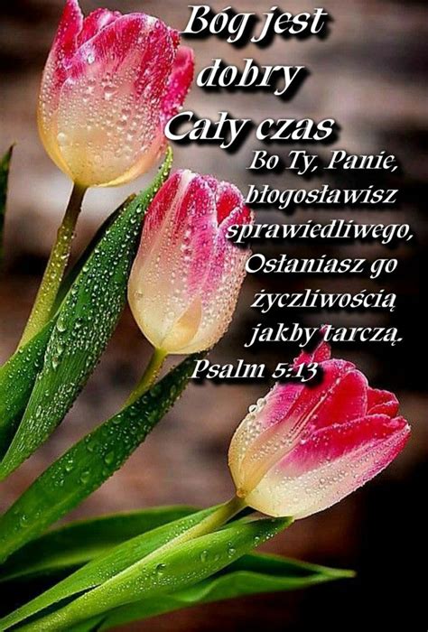 Pin By Sylwia Sylwia On Biblia Cytaty In God