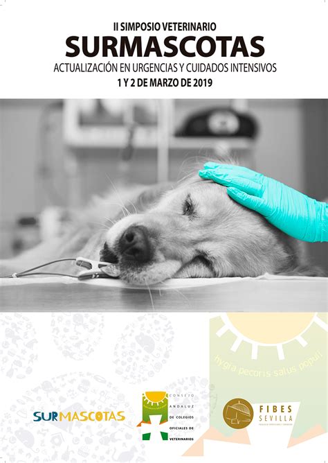 Consejo Andaluz De Colegios Oficiales De Veterinariosel Cacv Y Fibes Organizan Ii Simposium