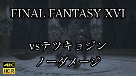 4K HDR FINAL FANTASY XVIvsテツキョジン ノーダメージ YouTube