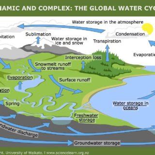 11: Global water cycle.... | Download Scientific Diagram