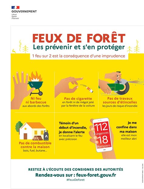 Feux de forêt et de végétation les prévenir et s en protéger