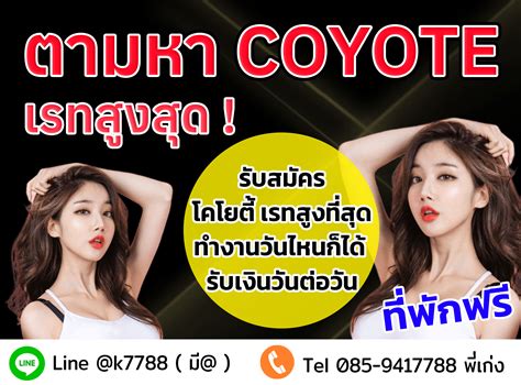 หางานกลางคืนกรุงเทพ งานโคโยตี้ รายได้ดี วันละ 5 000 10 000 บาท รับเงินวันต่อวัน Pantip