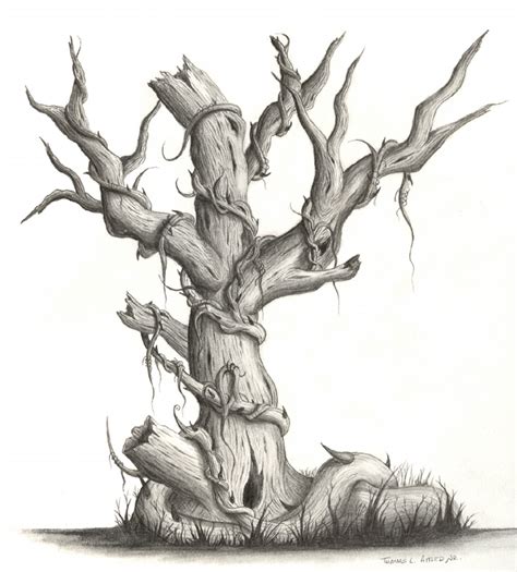 Dead Tree Pencil by fatherofkiera on DeviantArt