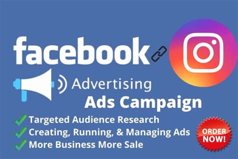 Setup Your Facebook Ads Campaigns And Instagram Ads Campaign By