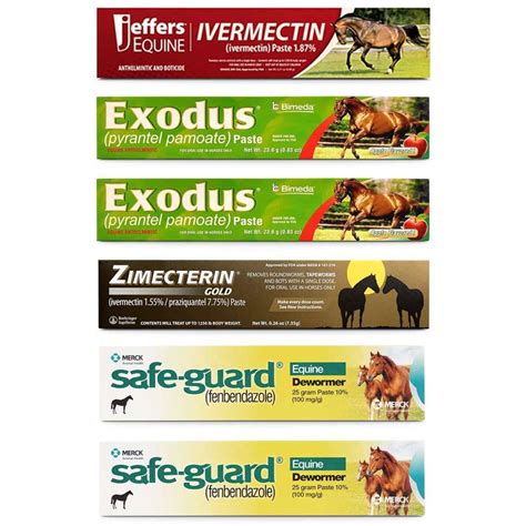 Premium Horse Wormer Kit for a Single Horse - Jeffers