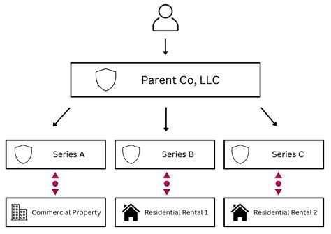 Using The Series Llc Structure For Llcs