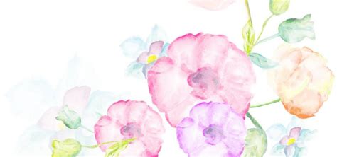 Pink Watercolor Flowers Background, Pink, Romantic, Watercolor ...