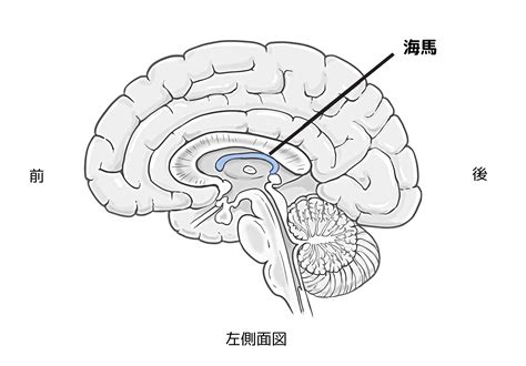 neuro