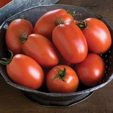 Organic Plum Tomato G Orgbox Thailand