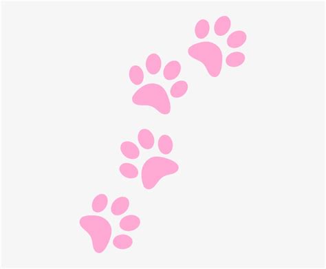 6 10 Yrs Patas De Perro Rosa Png Transparent Png 420x597 Free