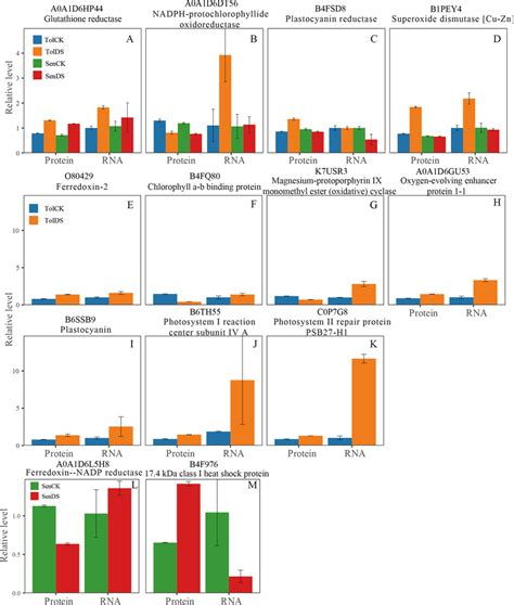 Confirmation Of Proteomic Results By Quantitative Real Time Pcr