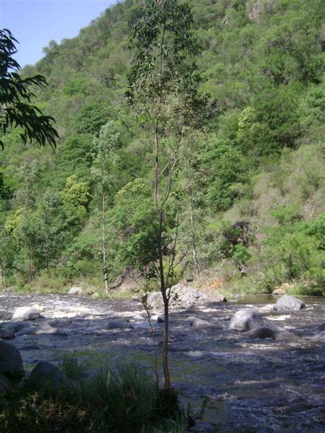 La Paisanita Alta Gracia Córdoba Argentina Alta Gracia Viajes