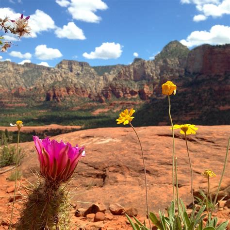 Best Hiking in Sedona For Beginner Hikers and Families With Kids