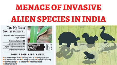 Abilities Disadvantages Of INVASIVE ALIEN SPECIES In India For UPSC