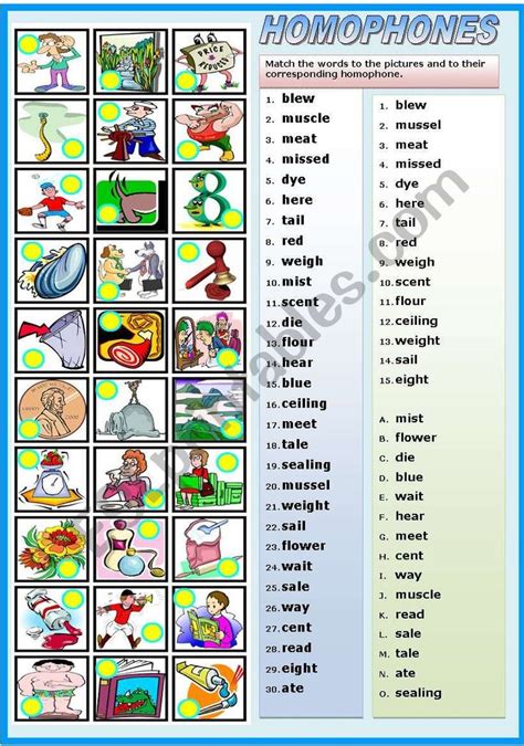 Homophones Matching Exercise B W Version Included Esl Worksheet By