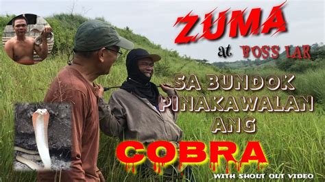 Zuma At Boss Lar Sa Bundok Pinakawalan Ang Cobrashout Out Videozuma