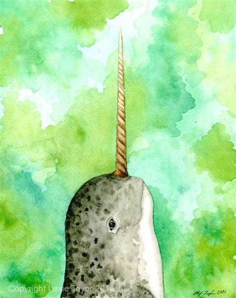 Narwhal Monodon Monoceros Watercolor Giclee Print Etsy Watercolor