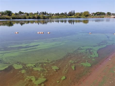 Lake Superior Has Seen Half A Dozen Blue Green Algae Blooms This Year