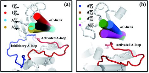 Comparison Of The αc Helix Orientation A Between The Apo Systems And Download Scientific