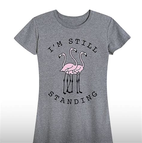 Pin By Jc Primm On Flamingos Relaxed Fit Tee Womens Tees T Shirts