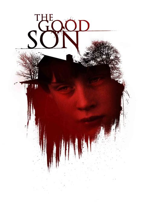 The Good Son Posters The Movie Database Tmdb