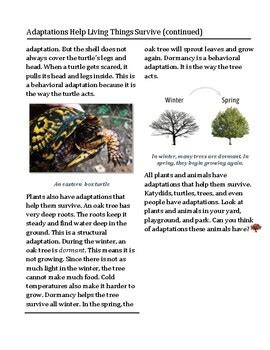 Science and Reading Skills Passage: Adaptations Help Living Things Survive