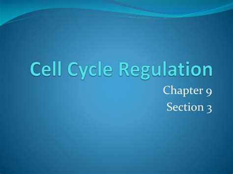 PPT - Cell Cycle Regulation PowerPoint Presentation, free download - ID:3754462