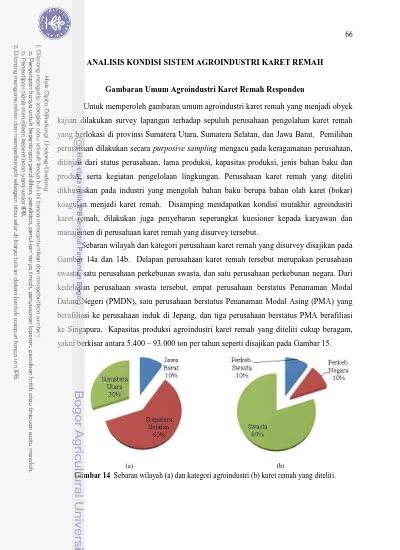 ANALISIS KONDISI SISTEM AGROINDUSTRI KARET REMAH Gambaran Umum