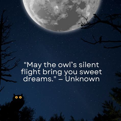 140+ Best Owl Quotes for Wisdom and Insight - Personalized Gift Sandjest