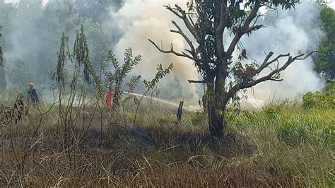 Api Membakar Lahan Di Kelurahan Harjosari Kepriheadline Id