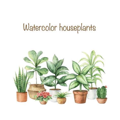 Vetor de aquarela plantas caseiras em vasos de cerâmica Vetor Premium