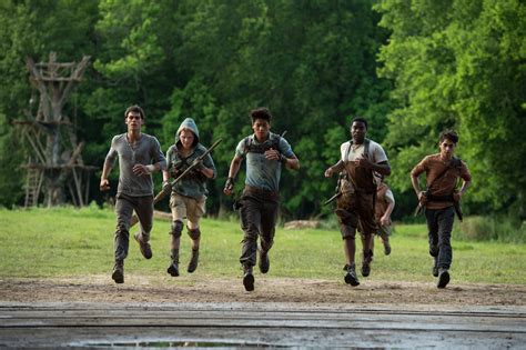 Foto Zum Film Maze Runner Die Auserwählten Im Labyrinth Bild 8 Auf