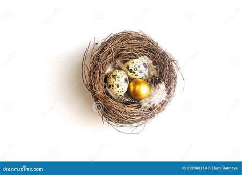 Golden Eggs In A Birds Nest On A Whight Background Stock Photo Image