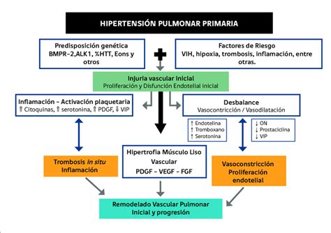 HipertensiÓn Pulmonar Mind Map