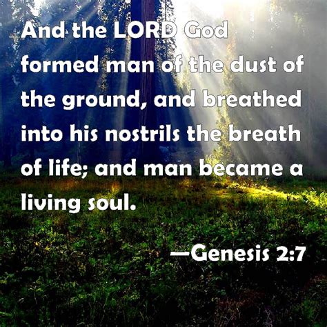 Genesis 2 7 And The Lord God Formed Man Of The Dust Of The Ground And