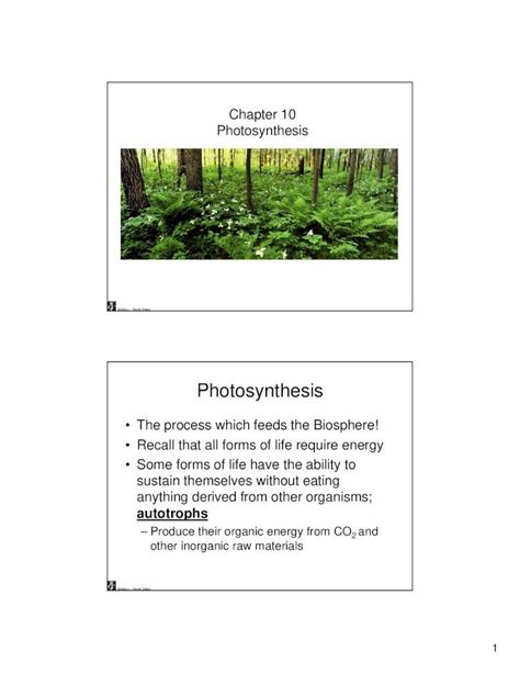 Pdf Chapter 10 Photosynthesis Lecture