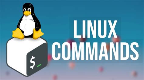 Linux Terminal Tutoria Beginner S Tutorial To The Bash Terminal