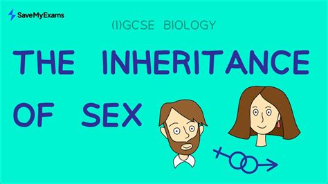 Inheritance Of Sex Sex Determination Explained Gcse And Igcse Biology