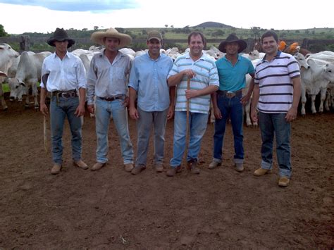 Fazenda Santa Bárbara 28º Leilão do Fazendeiro de Camapuã MS