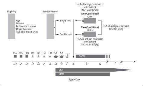 One Unit Versus Two Unit Cord Blood Transplantation For Hematologic