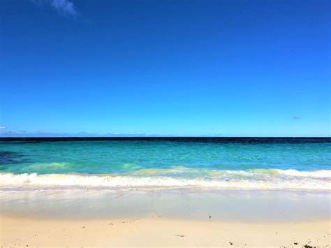 Rottnest Island Alle Highlights Tipps Das Quokka