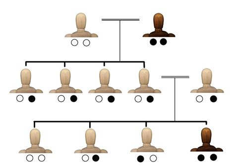 Epigenetics Inheritance