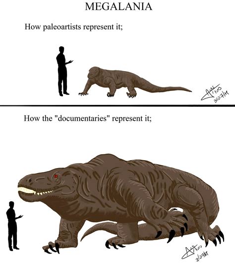 Megalania size by LADAlbarran2001 on DeviantArt