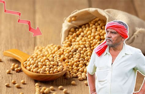 Soybean Market Rate Today | KhetiVyapar