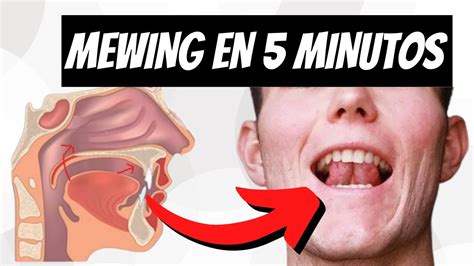 C Mo Aprender Mewing R Pido En Solo Minutos Youtube