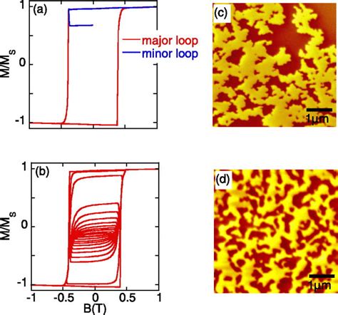 A Major And Minor Hysteresis Loop Of A 10 Nm Thick FePt Thin Layer