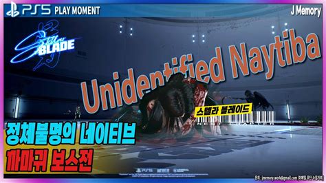 Stellar Blade Boss Unidentified Naytiba Enemy 정체불명의 적 네이티브 보스전 까마귀