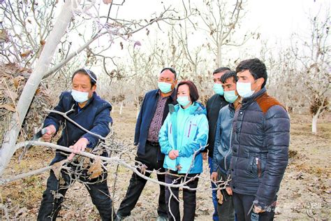 【石榴云融媒大连线】冬闲人不闲 农民忙“充电” 天山网 新疆新闻门户